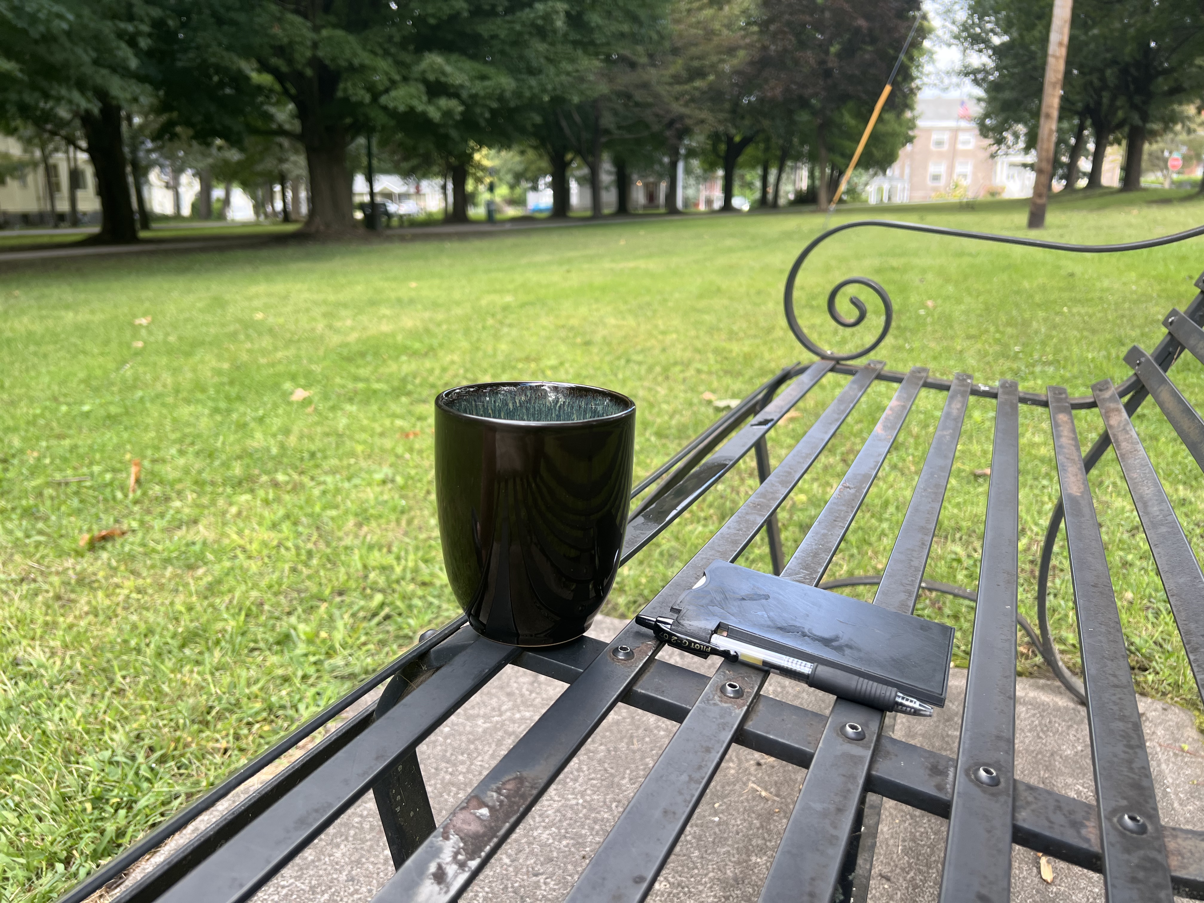 Coffee mug on a park bench with leafy trees in the background