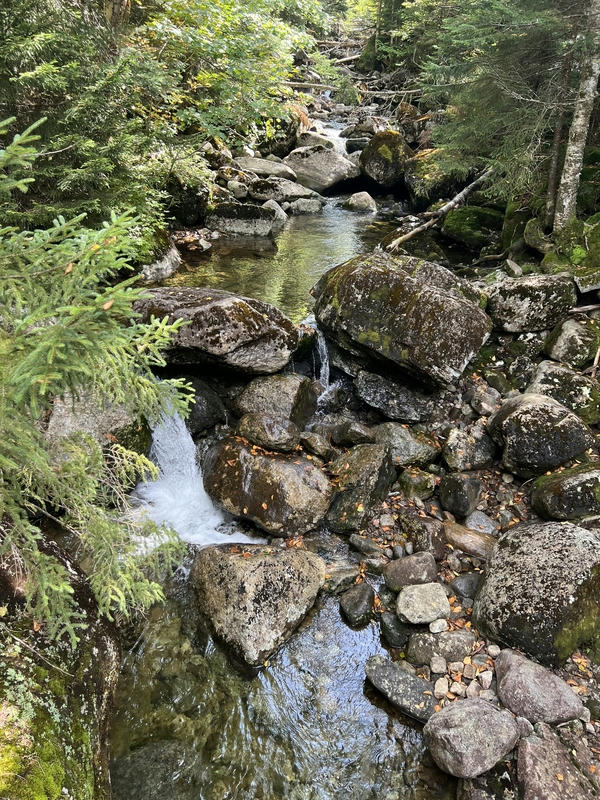 water cascading down a stream packed with boulders