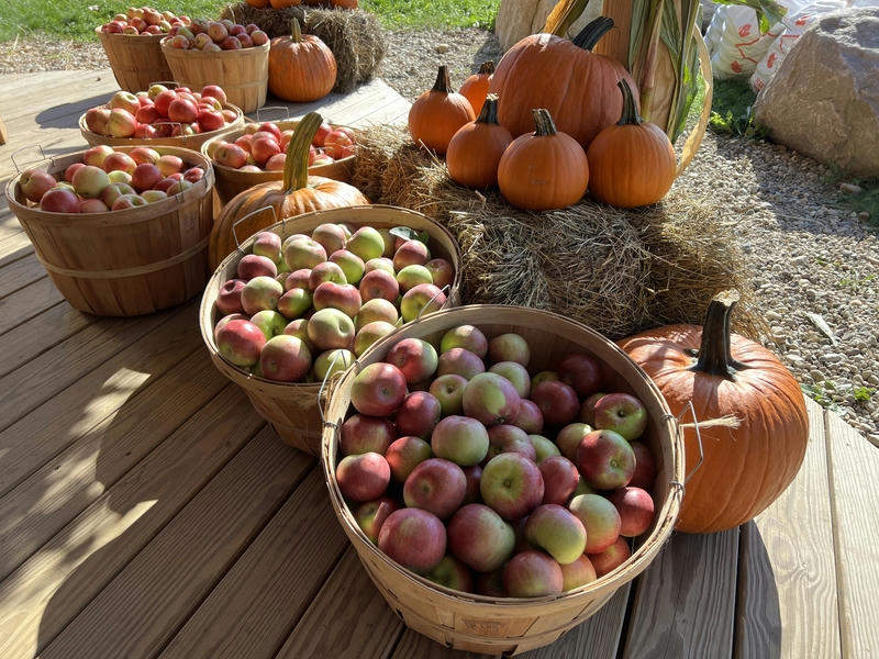 Prairie's Orchard fall harvest baskets