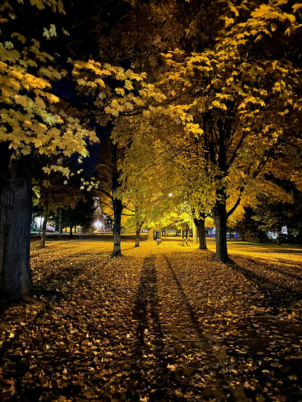 A pretty shot of the park in front of Focus Retreat Center at night